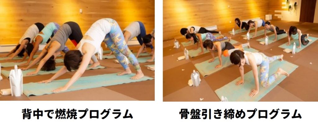 オススメプログラム