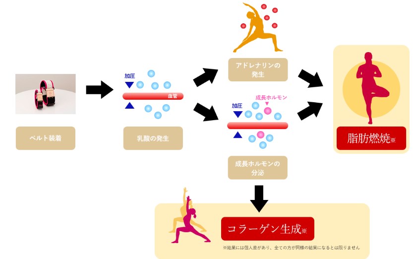 美圧ヨガ効果