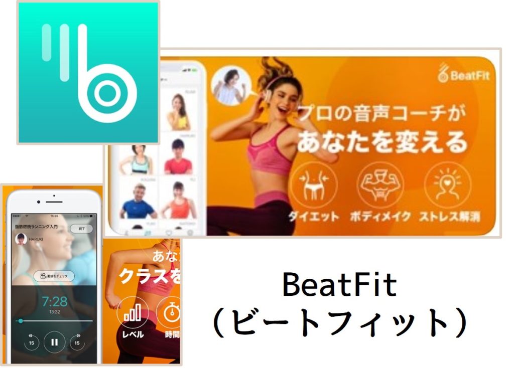 ビートフィット