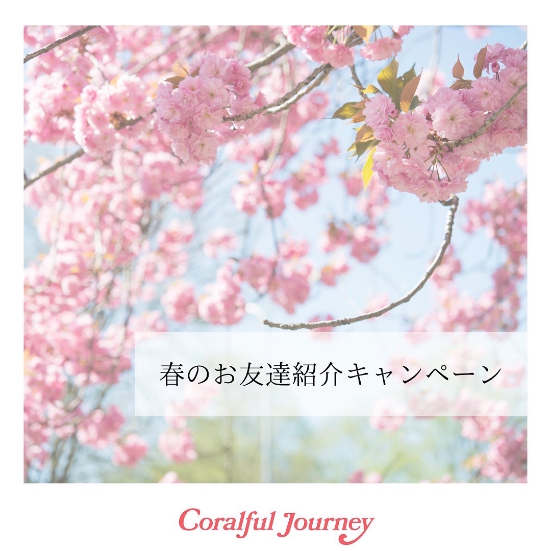 春のお友達紹介キャンペーン